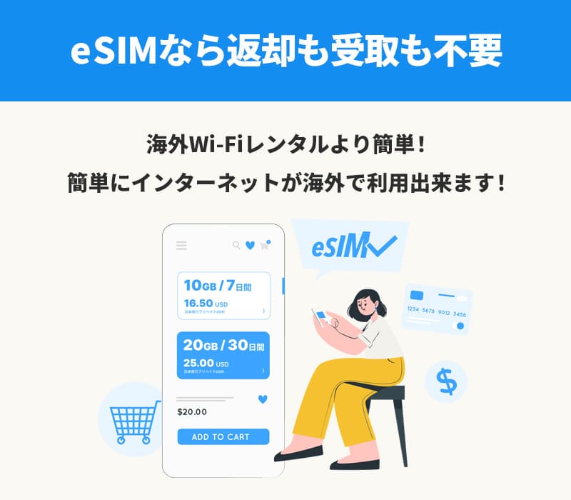 Borderless eSIM サービスについて